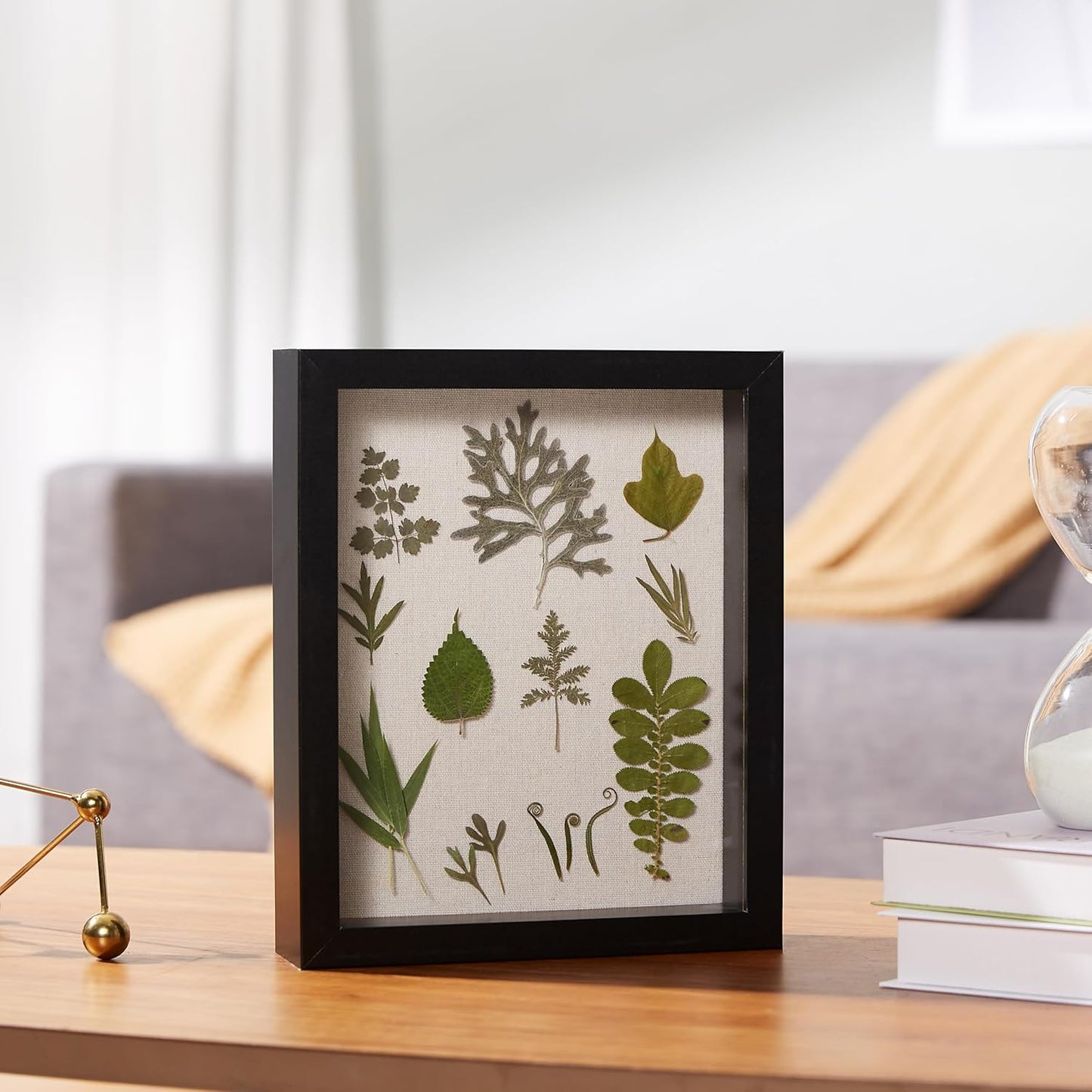Amazon Basics 8.5" x 11" Shadow Box Wood Rectangular Frame for Display Photos, Memorabilia, Black