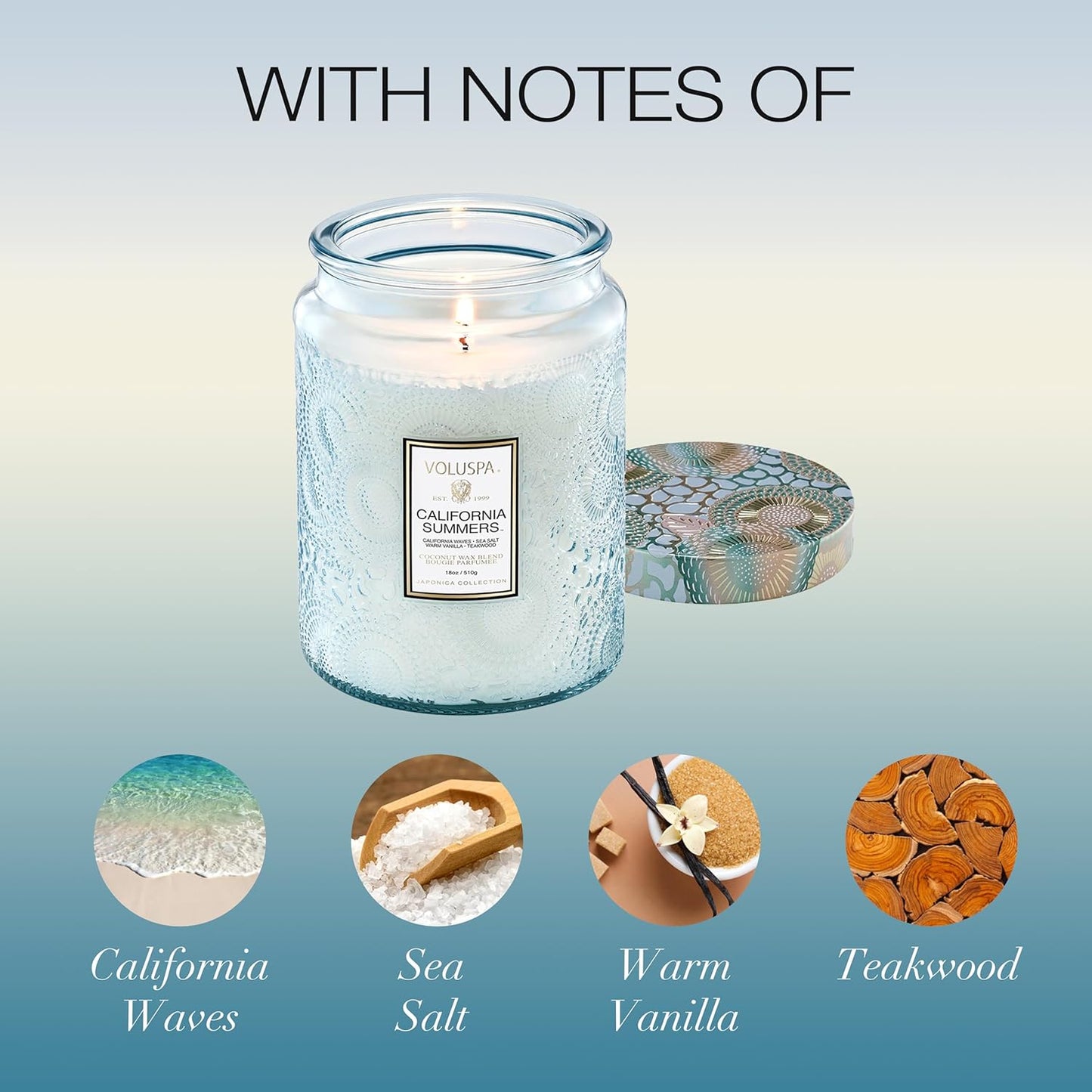 Voluspa Baltic Amber Candle, 18 oz, Coconut Wax Blend, Scented Candles for Home, 100 Hour Burn Time, Candle Jar