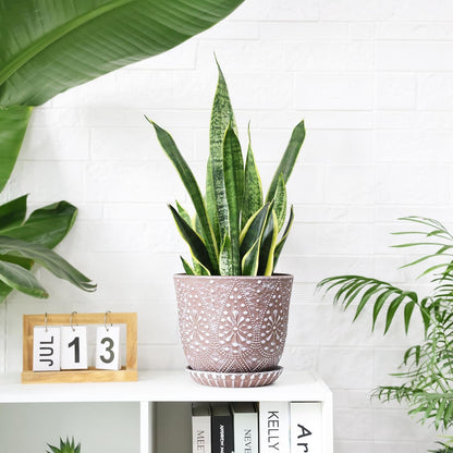 Gepege 6 Inch Beaded Ceramic Planter Set of 2 with Drainage Hole and Saucer for Plants, Indoor-Outdoor Large Round Succulent Orchid Flower Pot (Smoked Gray, Inner-pots not Larger Than 5 Inch)