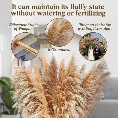 Pasuvsigt 12pcs 40'' Dried Pampas Grass Decor - Tall-Large Pampas Grass - Natural Beige - Boho Home Decor