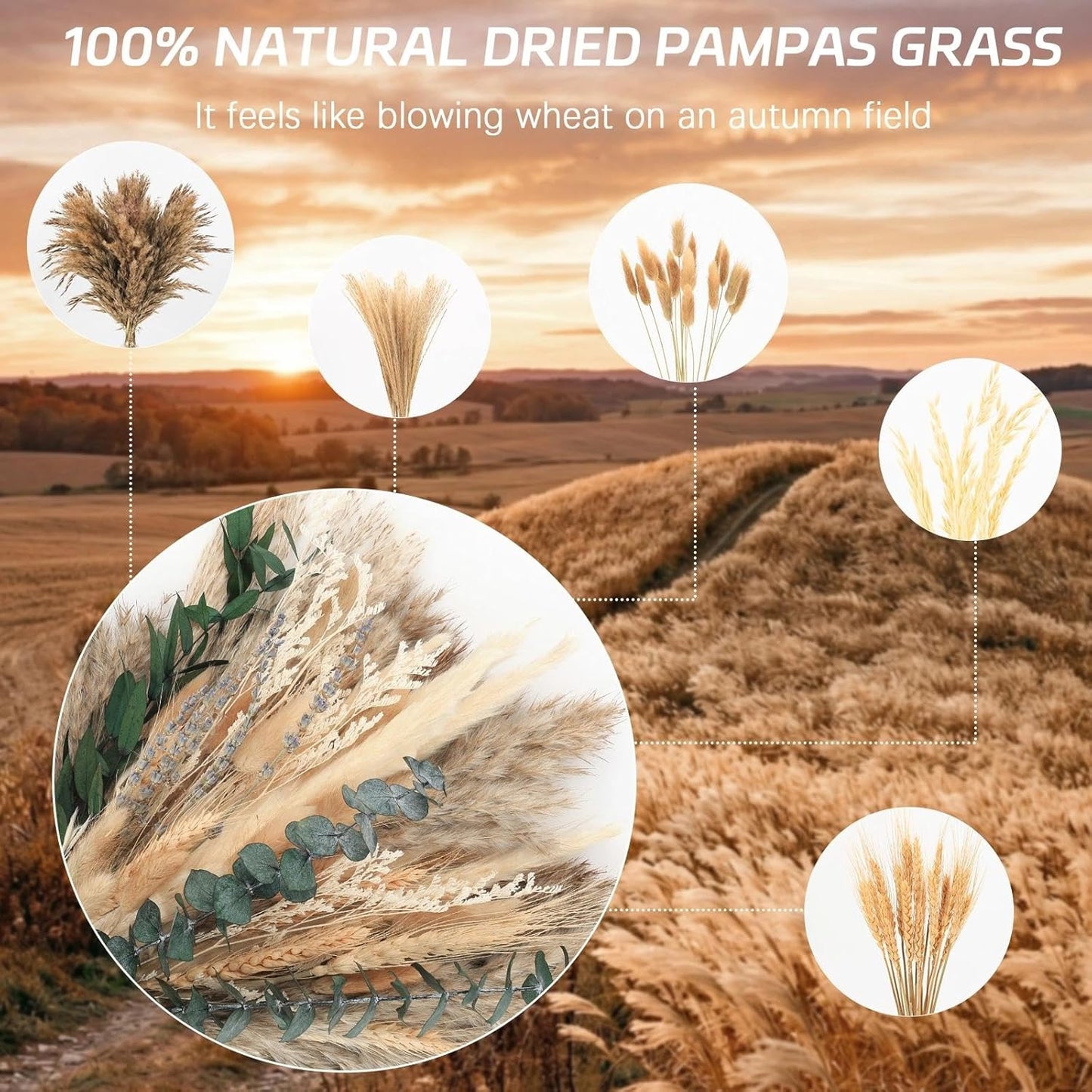 N&T NETING Dried Pampas Grass Decor- White Pampas Grass, Brown Pampas, Bunny Tail, Reed, Fluffy Dried Pompas Grass Flower for Home Wedding Table Vase Boho Modern Decor, 75Pcs