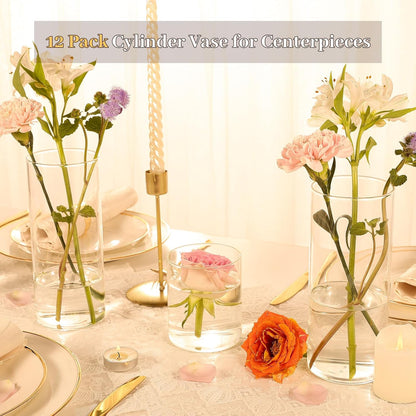 TBWIND 12pcs Glass Cylinder Vases for Centerpieces, 6 Inch Clear Flower Vases for Wedding Decorations and Indoor Home Decor, Hurricane Candle Holder for Table Shelf, Party