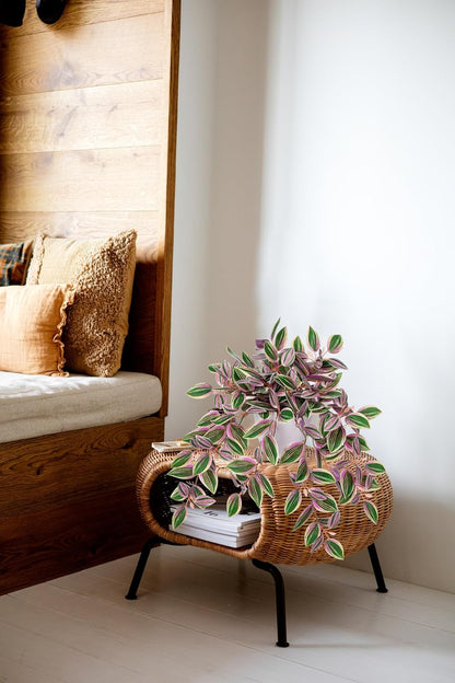 Briful Artificial Plants Indoor Fake Potted Silk Plants Faux Watermelon Peperomia Draping Plant for Home Office Bathroom Shelf Cabinet Tabletop Decoration(Green - 1 Pack)