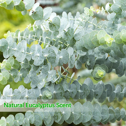 Real Eucalyptus Stems 20PCS Dried Preserved Fresh Eucalyptus Silver Dollar Leaves for Shower - Greenery Branches for Wedding Home Party Vase Filler Spring Decor