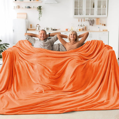 BEDELITE Fleece Blanket Black Throw Blankets for Couch & Bed, Luxury Plush Cozy Fuzzy Blanket 50x60 inches, Super Soft Warm Lightweight Throw Blanket for Travel Camping - Colors B