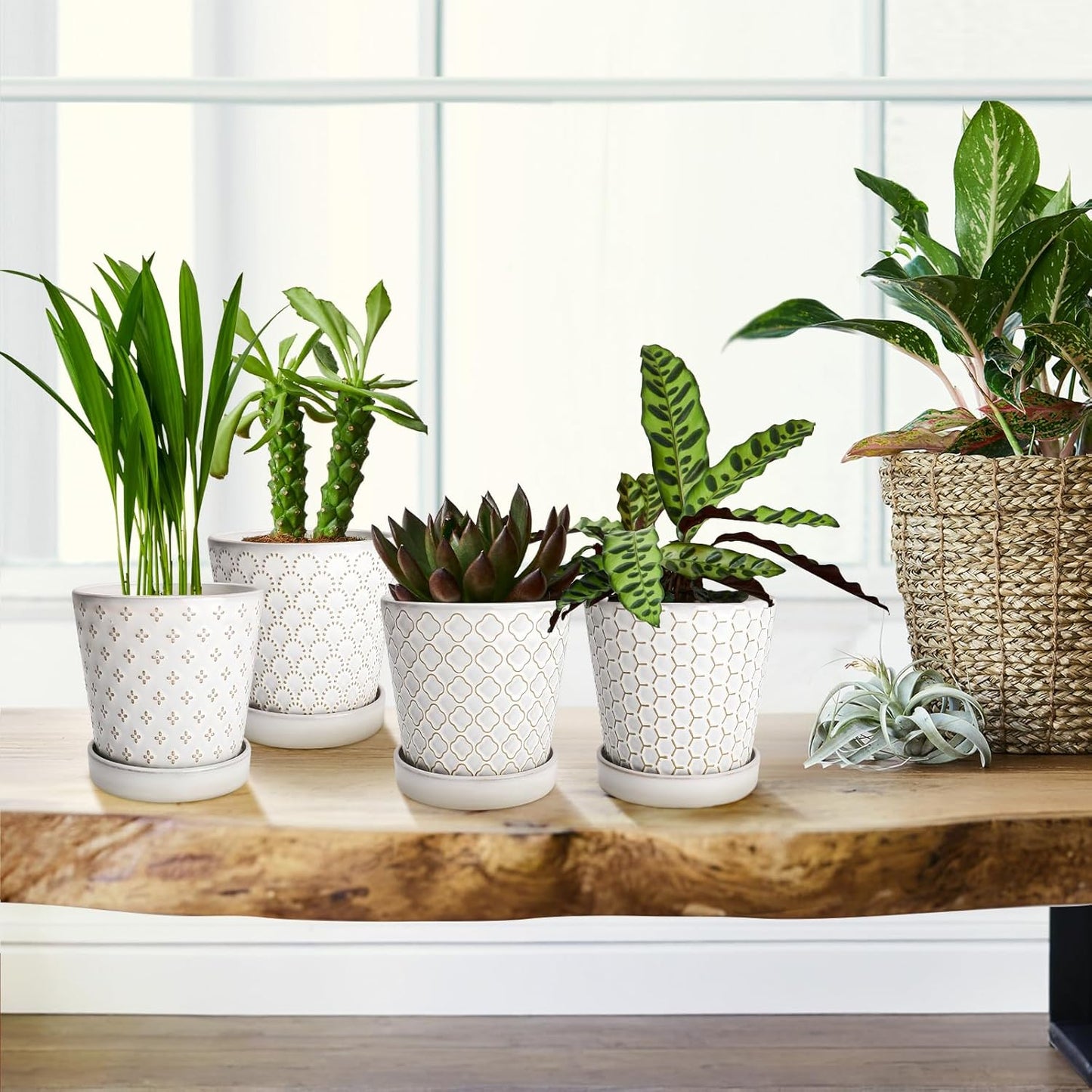 EFISPSS Flower Planter –5 inch Ceramic Plant Pots with Drainage Hole and Ceramic Tray - Gardening Home Desktop Office Windowsill Decoration Gift Set of 4 - Plants NOT Included