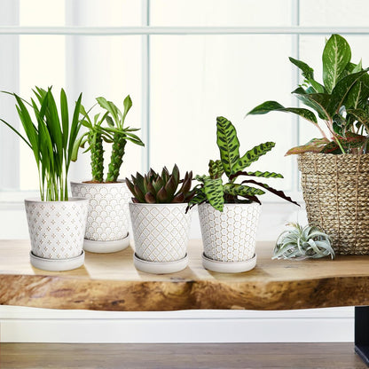 EFISPSS Flower Planter –5 inch Ceramic Plant Pots with Drainage Hole and Ceramic Tray - Gardening Home Desktop Office Windowsill Decoration Gift Set of 4 - Plants NOT Included