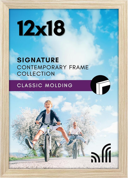 Americanflat 12x18 Poster Frame with Shatter-Resistant Glass - Signature Collection - Gallery-Style Frames Made of Engineered Wood - Photo Frame for Wall Display - Black - Colors B
