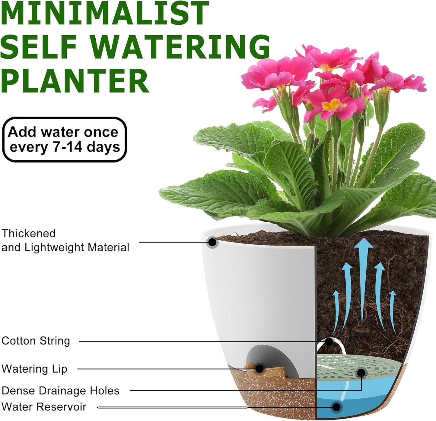 QRRICA Plant Pots 10/9/8/7.5/7 Inch Self Watering Pots, Set of 5 Plastic Planters with Drainage Holes and Saucers,Plastic Flower Pots,Nursery Planting Pot for Indoor Out Door Plants（Green）