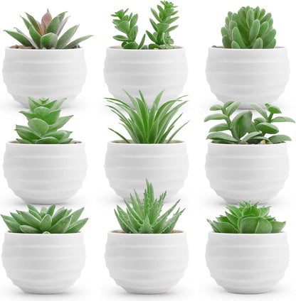 Der Rose 6 Pack Fake Plants Small Realistic Succulents Plants Artificial for Home Room Decor Indoor