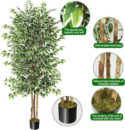 GTIDEA 6ft Artificial Tree Ficus, Tall Faux Trees Indoor with Natural Trunk and Fake Silk Tree Fake Plants for Home Spring Decor Living Room Outdoor Balcony House Office (Included Dried Moss)