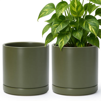 D'vine Dev Set of 2 Plants Pots, 6.5 Inch Ceramic Planter Pot for Plants with Drainage Hole and Saucer, White, 94-V-C-1