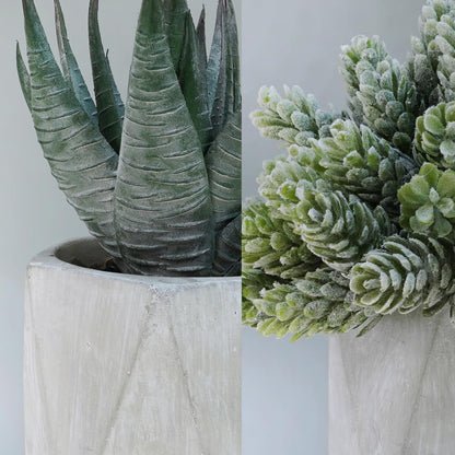 Winlyn Set of 3 Mini Artificial Succulent Plants Potted Small Fake Aloe Hops String of Pearls Plants in Gray Hexagon Ceramic Pots for Modern Home Office Desk Living Room Kitchen Table Shelf Décor
