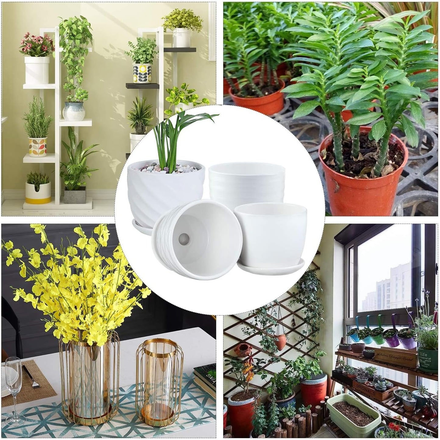 sietpoek Plant Pots - 5.5 Inch Cylinder Ceramic Planters with Connected Saucer, Pots for Succuelnt and Little Snake Plants, Set of 4, White