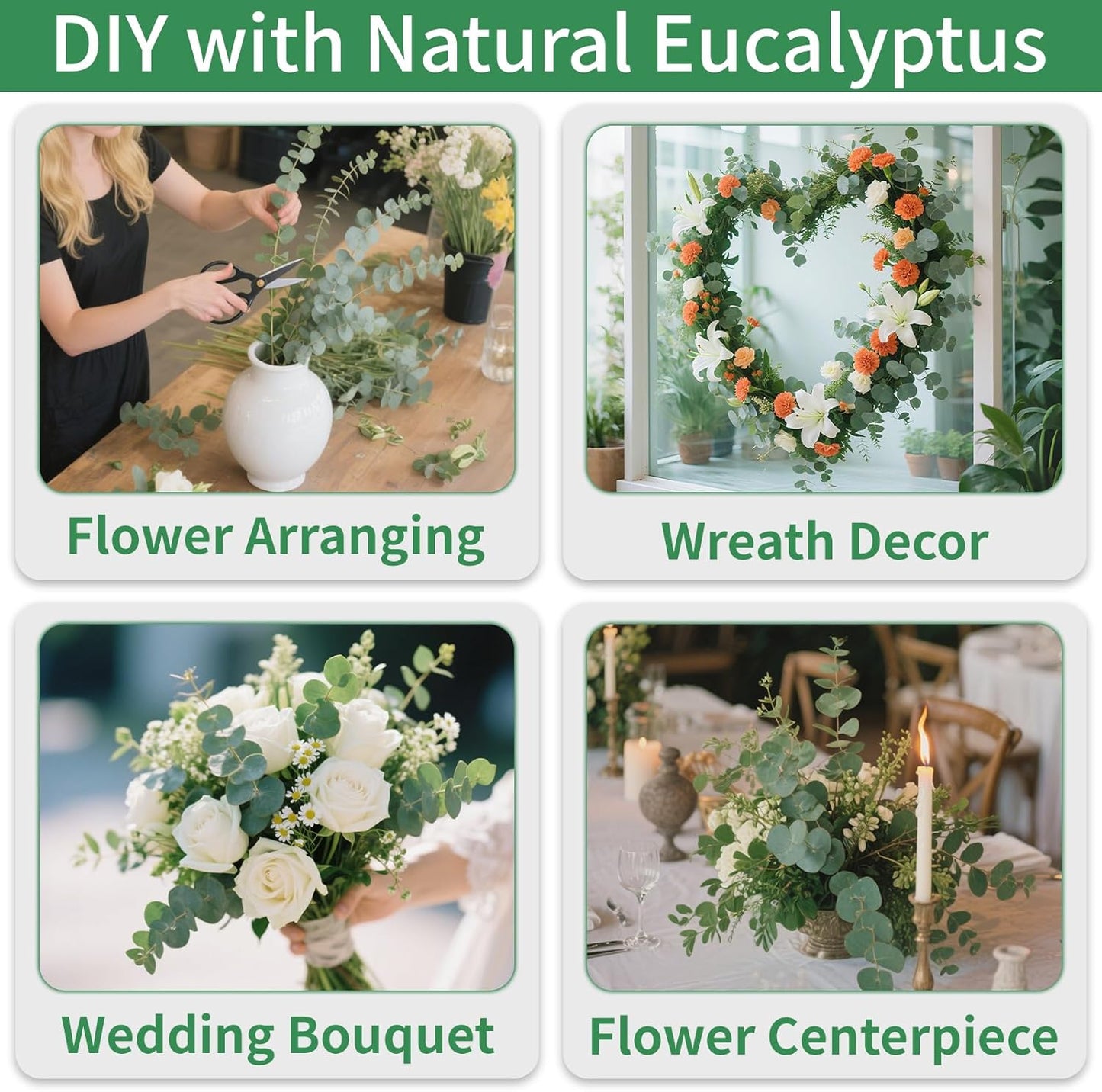 12PCS Dried Eucalyptus Bundle 17'' Real Eucalyptus Stems 100% Natural Fresh Leaves Hanging Plants Greenery Stems for Shower Home Decor Flower Arrangement Wedding