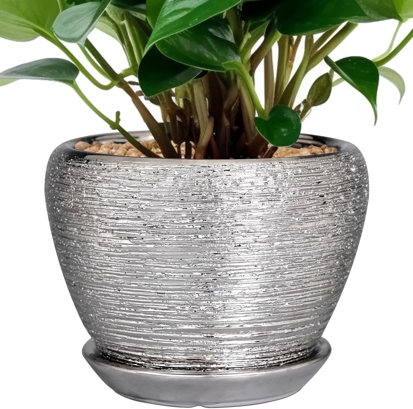 Ceramic Modern Glaze Succulent Planter Pot with Drainage Hole and Saucer 6 Inch Round Flower Plant Pot for Indoor Outdoor Herb Snake Plants