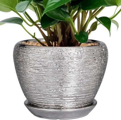 Ceramic Modern Glaze Succulent Planter Pot with Drainage Hole and Saucer 6 Inch Round Flower Plant Pot for Indoor Outdoor Herb Snake Plants