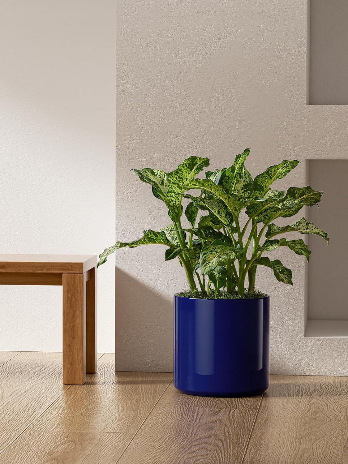LE TAUCI 12 Inch Pot for Plants, Ceramic Planters for Indoor Plants, Mid-Century Modern Cylinder Flower Pots with Drainage Hole, Fits Fiddle Leaf Fig & Monstera, Home Decor, White