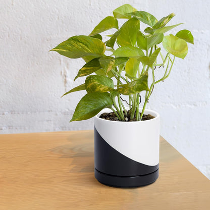 D'vine Dev 6.5 Inch Ceramic Planter Pot with Drainage Hole and Saucer, Indoor Cylinder Round Planter Pot, Olive, 94-O-C-J