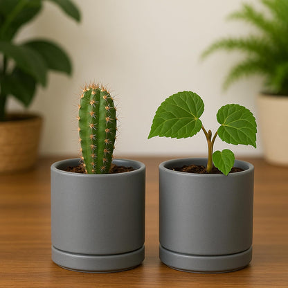 D'vine Dev Set of 2 Plants Pots, 6.5 Inch Ceramic Planter Pot for Plants with Drainage Hole and Saucer, White, 94-V-C-1