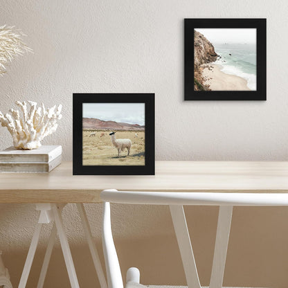 Americanflat 12x18 Poster Frame with Shatter-Resistant Glass - Signature Collection - Gallery-Style Frames Made of Engineered Wood - Photo Frame for Wall Display - Black - Colors A