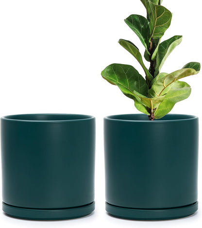 D'vine Dev Set of 2 Plants Pots, 6.5 Inch Ceramic Planter Pot for Plants with Drainage Hole and Saucer, White, 94-V-C-1