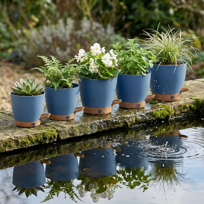 montresor 12/10/8 Inch Self Watering Pots for Indoor Plants Plastic Large Plant Pots for Outdoor Plants, Water Level Window & Spacious Reservoir Flower Pots Decorative Planter with Drainage and Tray