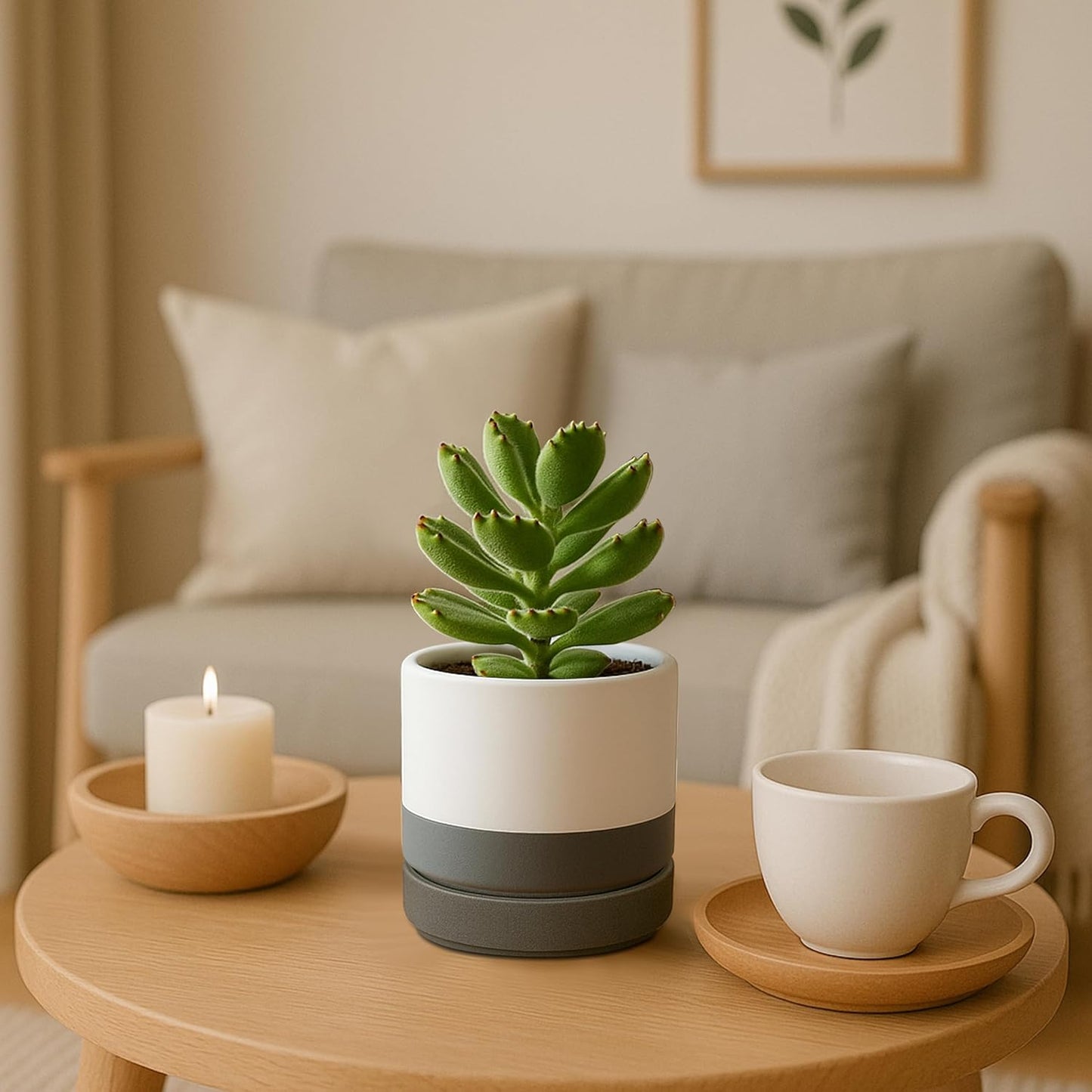 D'vine Dev Set of 2 Plants Pots, 6.5 Inch Ceramic Planter Pot for Plants with Drainage Hole and Saucer, White, 94-V-C-1
