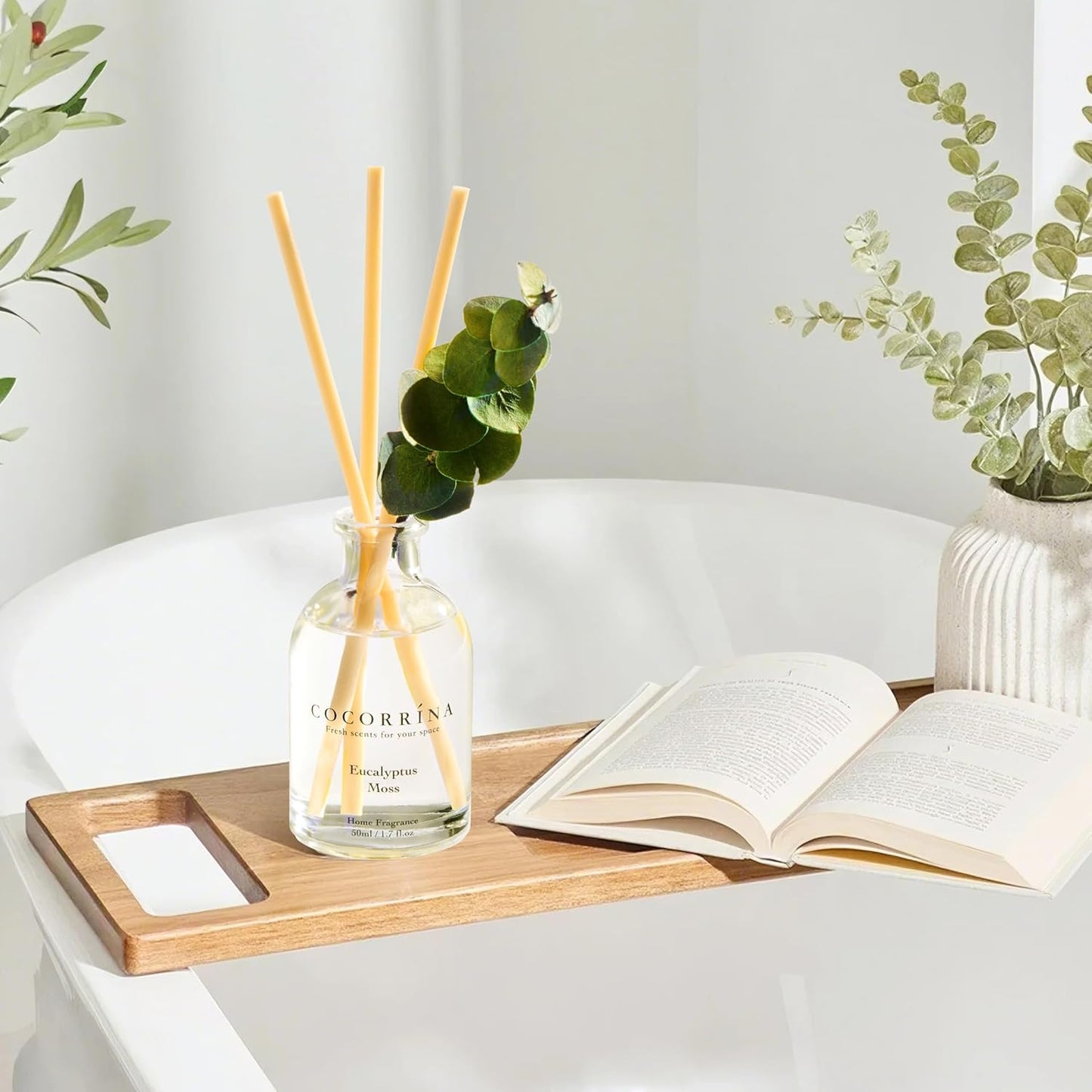 COCORRÍNA Eucalyptus Reed Diffuser Set of 3 - Lavender Eucalyptus, Black Forest, Clean Cotton Scents, 1.7 fl oz Each, Total 5.1 oz, Scented Oil Diffusers for Home & Office﻿