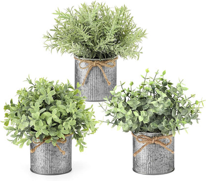 Mkono 3 Pack Small Fake Plants in Black Galvanized Metal Pots Artificial Eucalyptus Plants for Christmas Decorations Shelf Desk Home Farmhouse Room Coffee Table Bathroom Decor