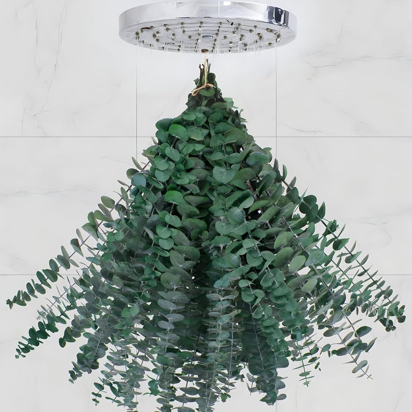 12PCS Dried Eucalyptus Bundle 17'' Real Eucalyptus Stems 100% Natural Fresh Leaves Hanging Plants Greenery Stems for Shower Home Decor Flower Arrangement Wedding