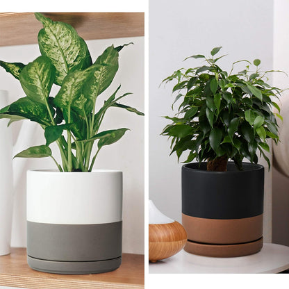 D'vine Dev Set of 2 Plants Pots, 6.5 Inch Ceramic Planter Pot for Plants with Drainage Hole and Saucer, White, 94-V-C-1