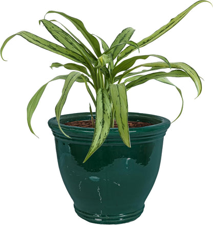 Sunnydaze Large Ceramic Plant Pot - Round Outdoor Glazed Ceramic Planter Pot with Drainage - Studio - Imperial Blue - 18.5"