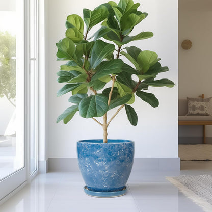 10 Inch Ceramic Planter Pot Round Plant Pot for Indoor Plants Outdoor Large Flower Pot with Drainage Hole and Saucer Blue