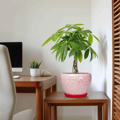 6 Inch Plant Pot - Ceramic Pots for Plants with Drainage Hole and Saucer, Round Succulent Planter Indoor Outdoor, Modern Flower Pot for Snake Plants, Home Decor, Gifts for Plant Lover, Blue