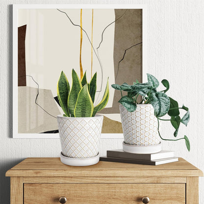 EFISPSS Flower Planter –5 inch Ceramic Plant Pots with Drainage Hole and Ceramic Tray - Gardening Home Desktop Office Windowsill Decoration Gift Set of 4 - Plants NOT Included