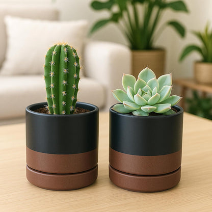 D'vine Dev Set of 2 Plants Pots, 6.5 Inch Ceramic Planter Pot for Plants with Drainage Hole and Saucer, White, 94-V-C-1