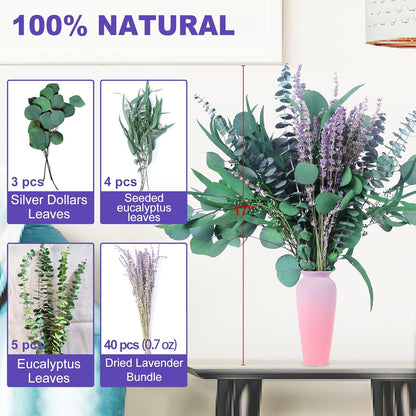 52 PCS Mix Dried Eucalyptus & Lavender Flowers Bundles for Shower, 17'' Natural Real Hanging Silver Dollar Eucalyptus Leaves Stems, Fragrance Fresh Plants Home Bathroom Decor (52pcs)