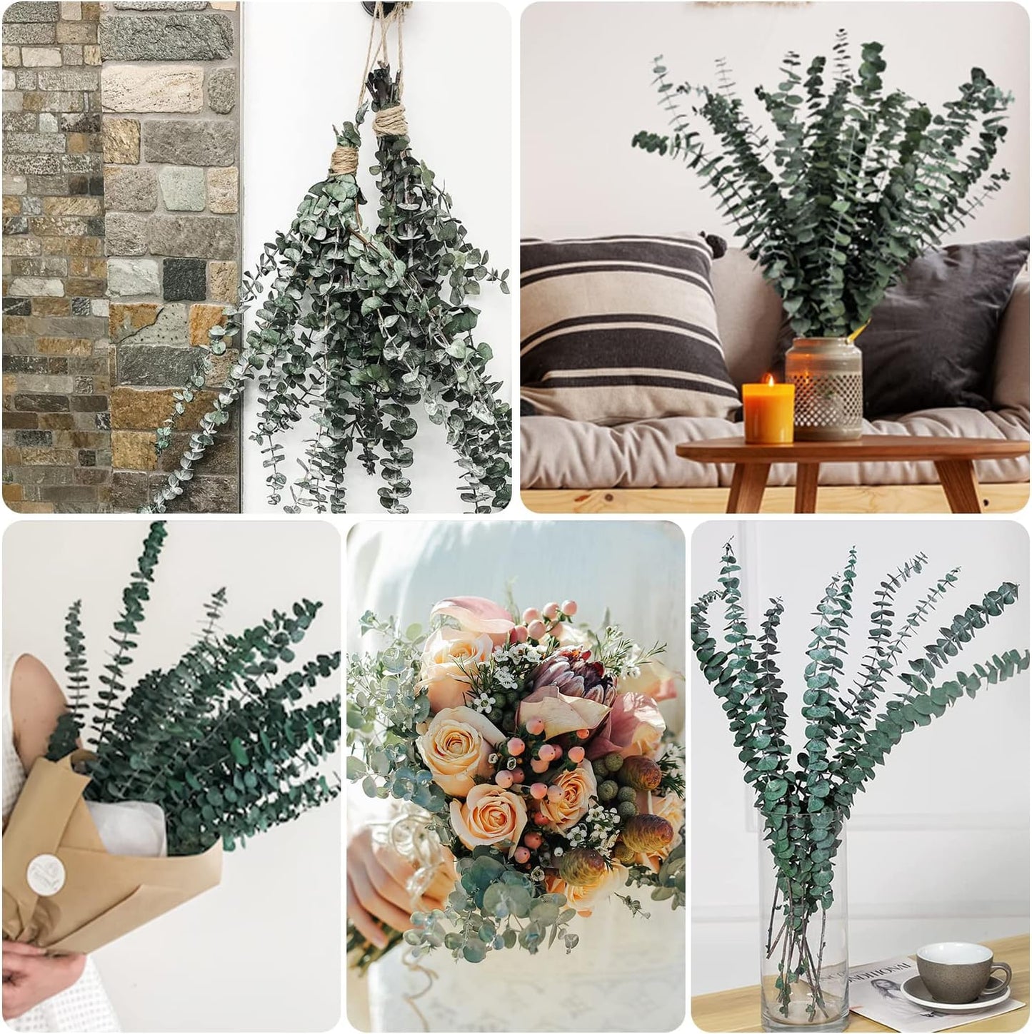 12PCS Dried Eucalyptus Bundle 17'' Real Eucalyptus Stems 100% Natural Fresh Leaves Hanging Plants Greenery Stems for Shower Home Decor Flower Arrangement Wedding