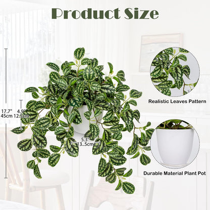 Briful Artificial Plants Indoor Fake Potted Silk Plants Faux Watermelon Peperomia Draping Plant for Home Office Bathroom Shelf Cabinet Tabletop Decoration(Green - 1 Pack)