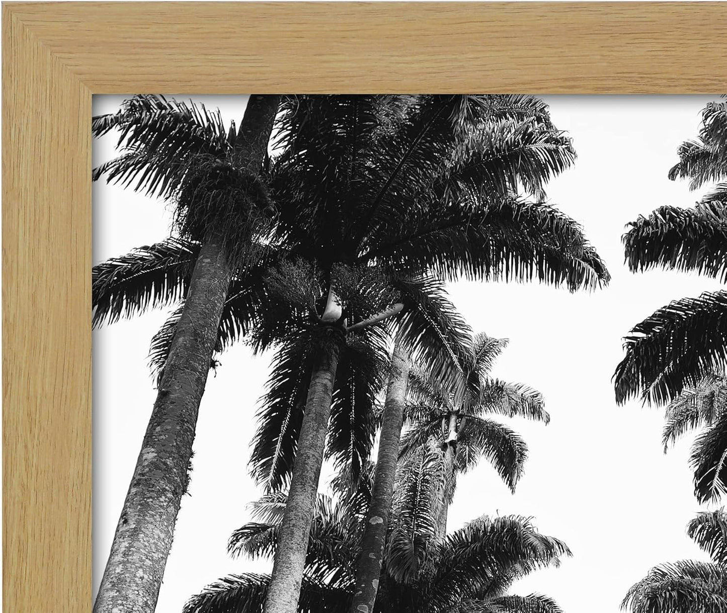 Americanflat 16x20 Picture Frame with Polished Plexiglass - Black Picture Frame - Wide Photo Frames Made of Engineered Wood for Vertical or Horizontal Wall Display - Epic Collection - Black - Colors A