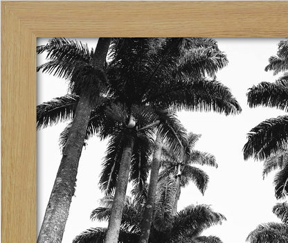 Americanflat 16x20 Picture Frame with Polished Plexiglass - Black Picture Frame - Wide Photo Frames Made of Engineered Wood for Vertical or Horizontal Wall Display - Epic Collection - Black - Colors A