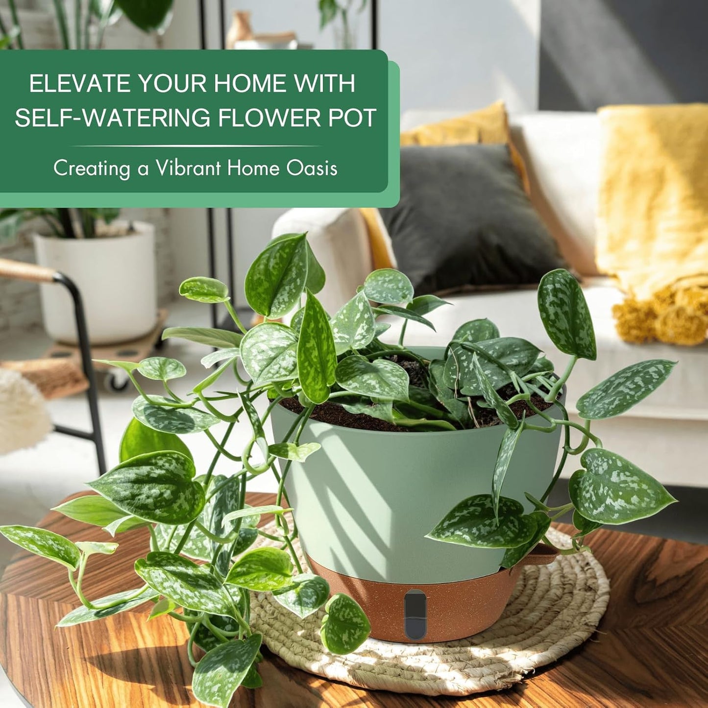 montresor 12/10/8 Inch Self Watering Pots for Indoor Plants Plastic Large Plant Pots for Outdoor Plants, Water Level Window & Spacious Reservoir Flower Pots Decorative Planter with Drainage and Tray