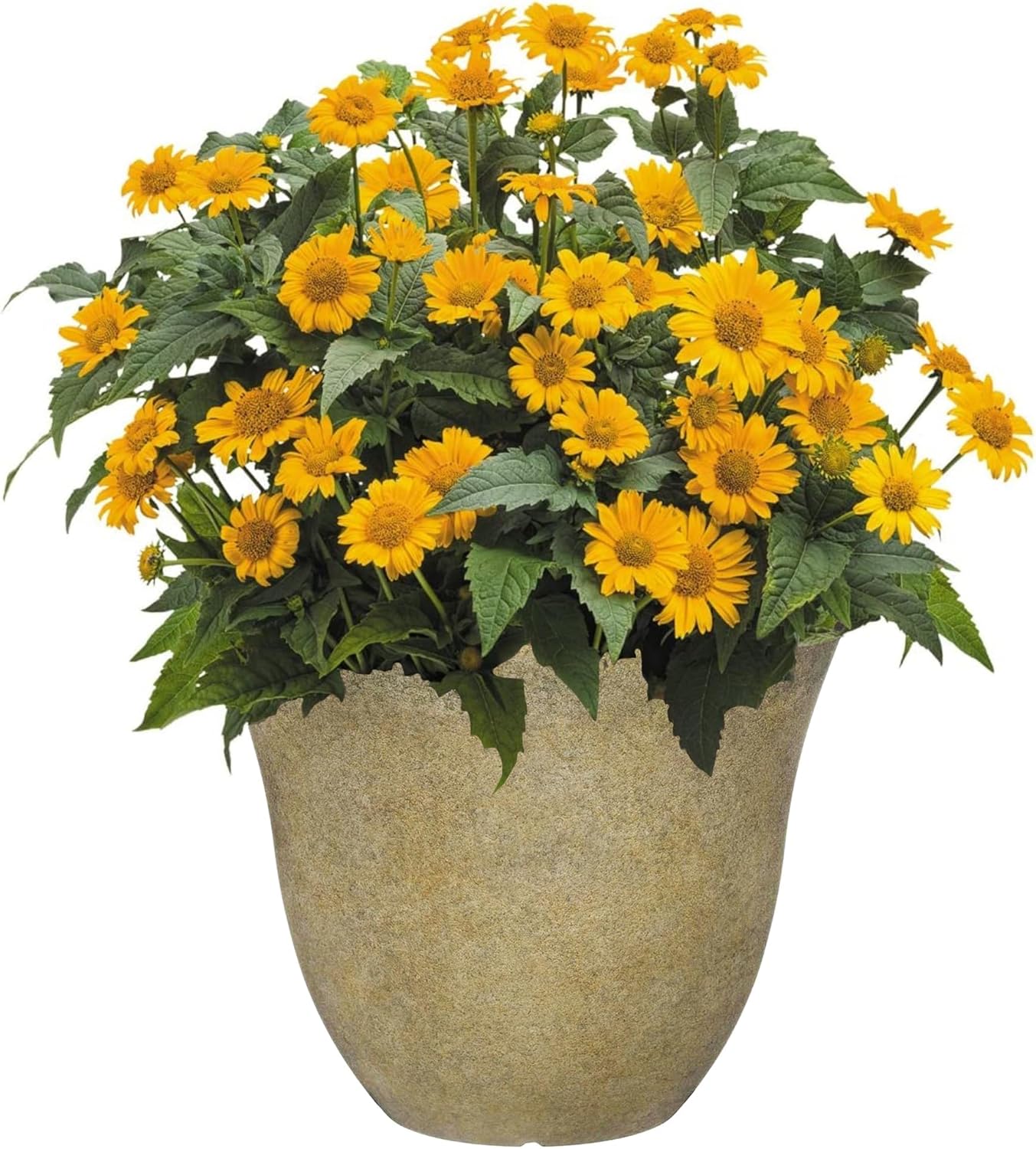 Classic Home and Garden Honeysuckle Resin Planters - Lightweight Indoor & Outdoor Plant Pots - UV-Resistant Plastic Flower Pots - Pot Planters for Flowers & Herbs (15" Distressed Copper)