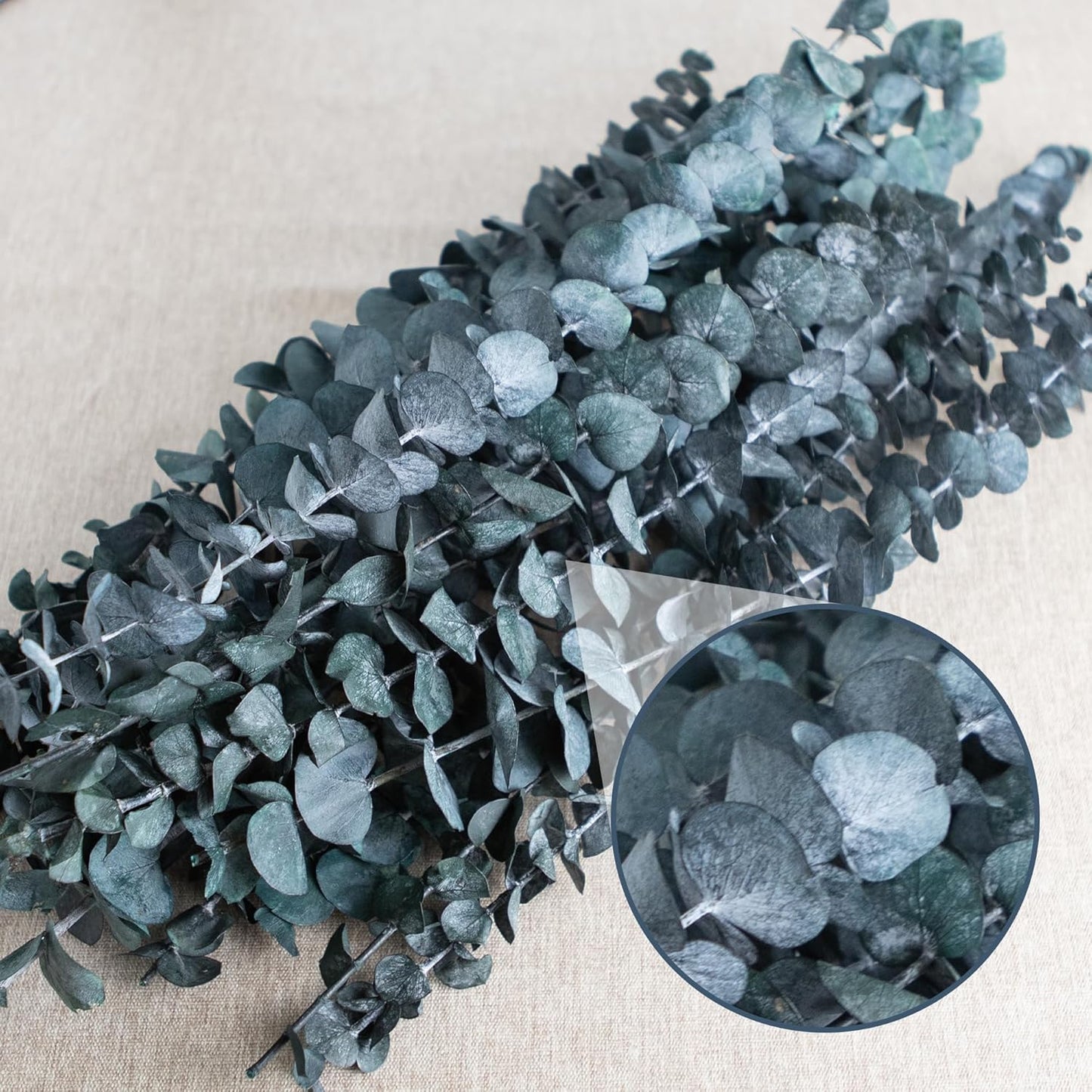 Preserved-Dried-Eucalyptus-Stems,16-17" Natural Blue-Green Eucalyptu Plant Live Fresh, Real Eucalyptus Branches Leaves for Shower Spa, Blue Dried Flowers for Vase Fillers, Home Decor & Wedding (16Pcs)