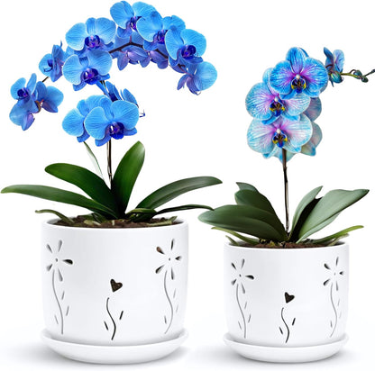 2 Pack, 5 + 6 Inch White Orchid Pots with Holes and Saucer, Ceramic Orchid Planters for Repotting with Drainage Holes and Tray, Plant Flower Pot containers for Orchid Indoor Outdoor