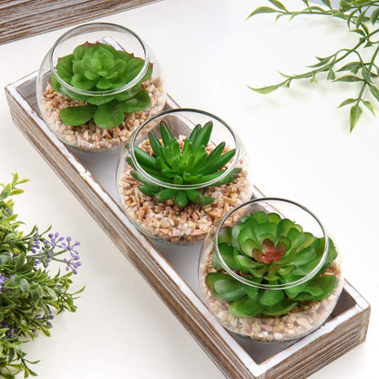Briful Mini Fake Plants 4 Packs Succuletns Artificial Potted Plants in Cube Glass Vase Faux Succulents for Bathroom Living Room Kitchen Shelf Table Decor