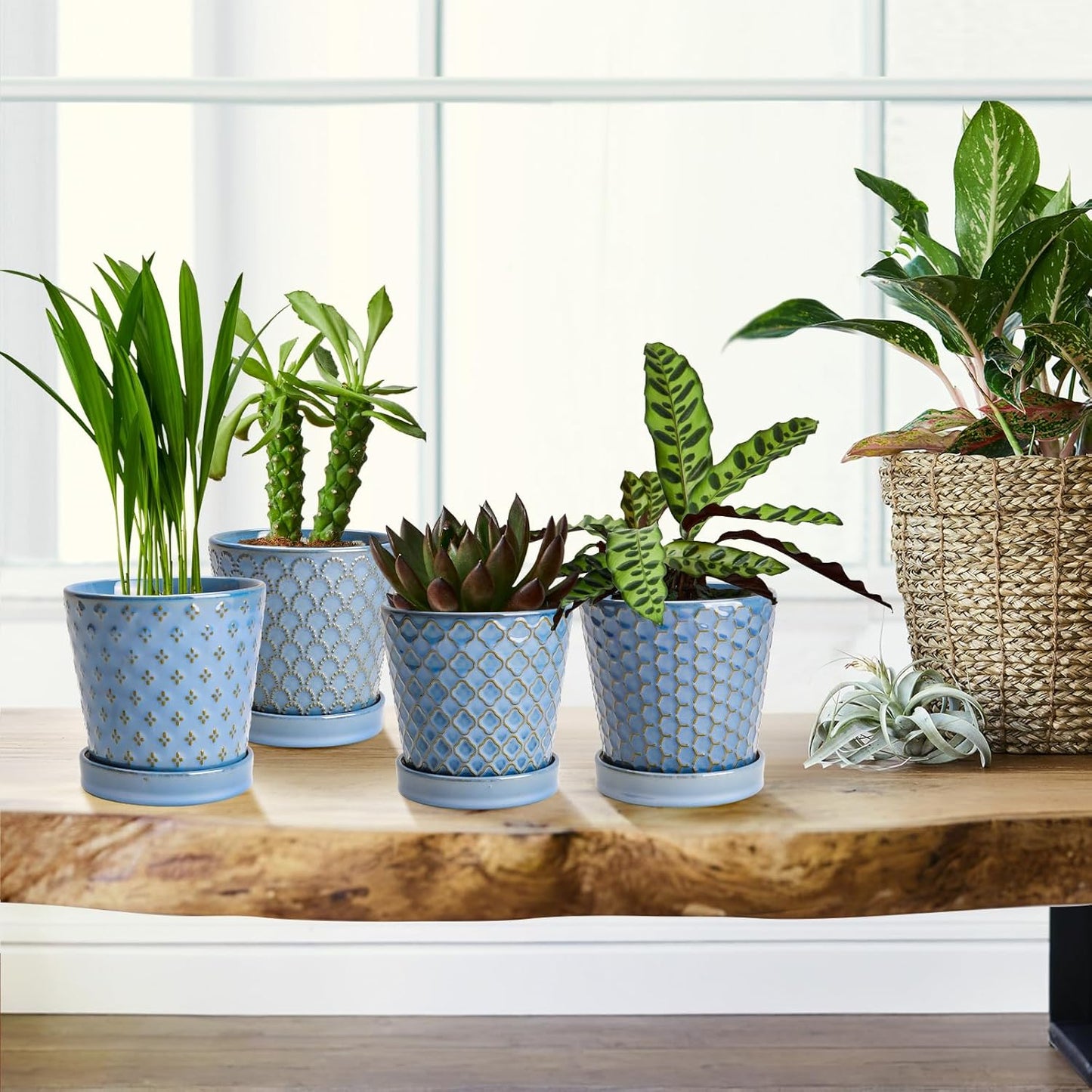 EFISPSS Flower Planter –5 inch Ceramic Plant Pots with Drainage Hole and Ceramic Tray - Gardening Home Desktop Office Windowsill Decoration Gift Set of 4 - Plants NOT Included