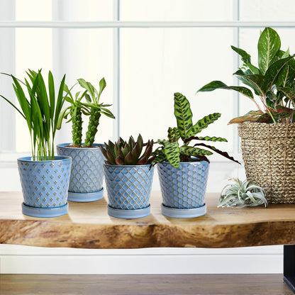EFISPSS Flower Planter –5 inch Ceramic Plant Pots with Drainage Hole and Ceramic Tray - Gardening Home Desktop Office Windowsill Decoration Gift Set of 4 - Plants NOT Included