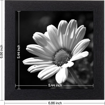 eletecpro 12x12 Picture Frames Set of 9 with Clear Acrylic Cover, Display 8x8 Photos with Mat or 12x12 Without, Classic and Sturdy Square Collage Gallery Wall Decor, Easy Wall Mount, Black
